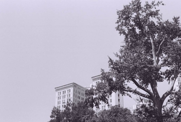 The Candler building seen from Hurt Park